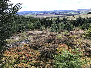 Run from Aberdeen airport : : Looking north