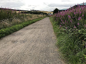 Run from Aberdeen airport : : At the back of industrial estate