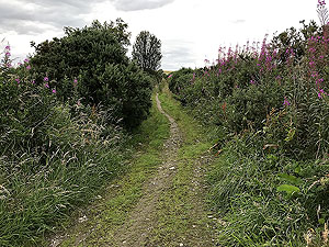 Run from Aberdeen airport : : Path on first uphill section