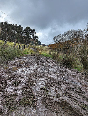 Auchterarder Chilli tace : Watch out theres mud about