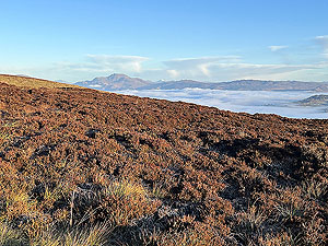 Over the Carman : Ben Lomond appears