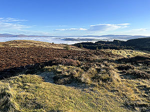 Over the Carman : From Ben Bouie looking towards loch Lomond