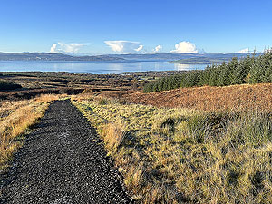 Over the Carman : Heading off Ben Bouie