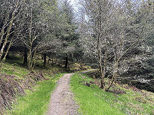 Crinan trail : Up hill path from the brach