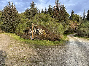 Crinan trail : The junction of the main loop section