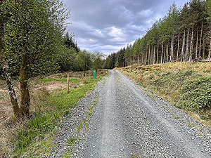 Crinan trail : Turning for the trail to the top of the hill