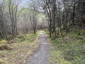 Crinan trail : Lookign back down the trail
