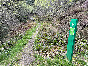 Crinan trail : Up to the top