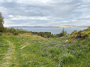 Crinan trail : Heading back and lots of bluebells