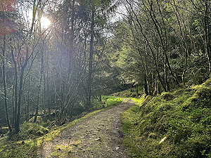 Crinan trail : Down to the beach