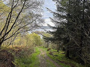 Crinan trail : More down to the bbeach