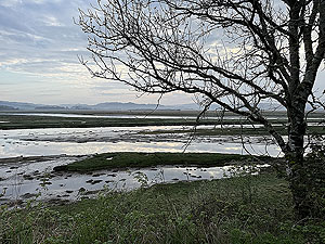 Crinan canal : Looking out over the great moss