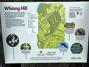 Whinny Hill : Whinny Hill information sign