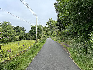 Kilpatrick Braes  : Tarred road for the first part
