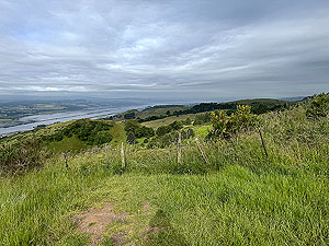Kilpatrick Braes  : Looking down the river from near the top
