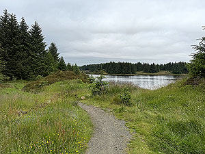 Kilpatrick Braes  : Loch Humprey trail close to the water
