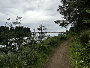 Kilpatrick Braes  : Some nice trail paths 