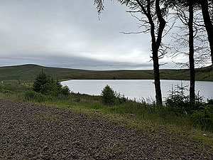 Kilpatrick Braes  : Becomes a bit dull in places