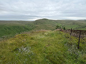 Kilpatrick Braes  : Faint path downhill for a short section