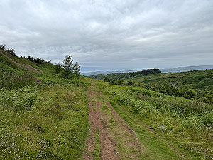 Kilpatrick Braes  : Downhill to Dumbarton