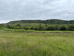 Kilpatrick Braes  : Looking back at the Craggs