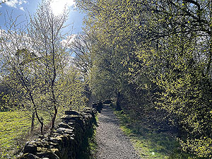 Trident 10K : One of the rare flat sections