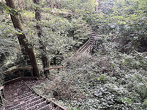 Trident 10K : The killer stairs 