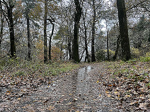 Trident 10K : And sometimes it will rain