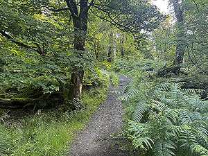 Trident 10K : Parts of the trail get steep