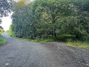 Trident 10K : Off the dirt road and onto the trail