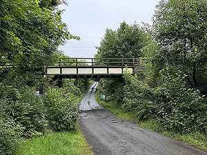 Trident 10K : Onto dirt road and under the railway