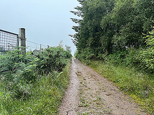 Trident 10K : Last of this part of uphill