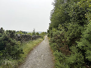 Trident 10K : Short section going down