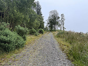 Trident 10K : Near end of Trident downhill