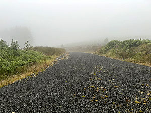 Trident 10K : Misty day