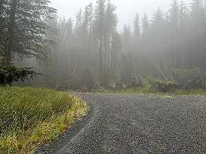 Trident 10K Just after the top