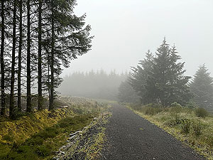 Trident 10K : Up and up