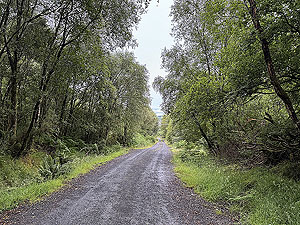 Trident 10K : First part of the long downhill