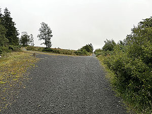 Trident 10K : Near the end of the last uphill