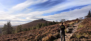 Gallus Running : Bennachie hill race : The area