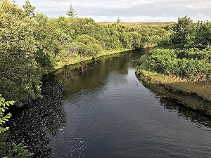 Gallus Running : Bowmore running loop : River Lagan