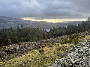 Ardgartan trail race: Loch Long with the GareLoch in the background