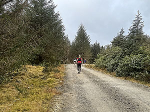 Ardgartan trail race: Getting near the end of the Loch Long section