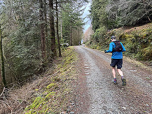 Ardgartan trail race: Back on forest road and uphill again