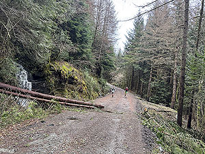 Ardgartan trail race: Heading towards the Rest and be Thankful