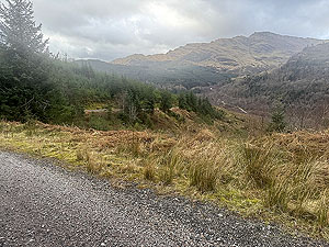 Ardgartan trail race: Looking back