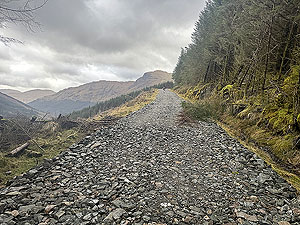 Ardgartan trail race: A climb on the final section