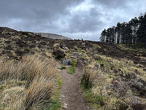 Devil O Highlands : Onto the Deils staircase