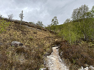 Devil O Highlands : Tough path to run on