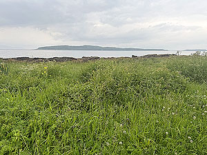 Ayrshire coast : Out to sea on a dull day